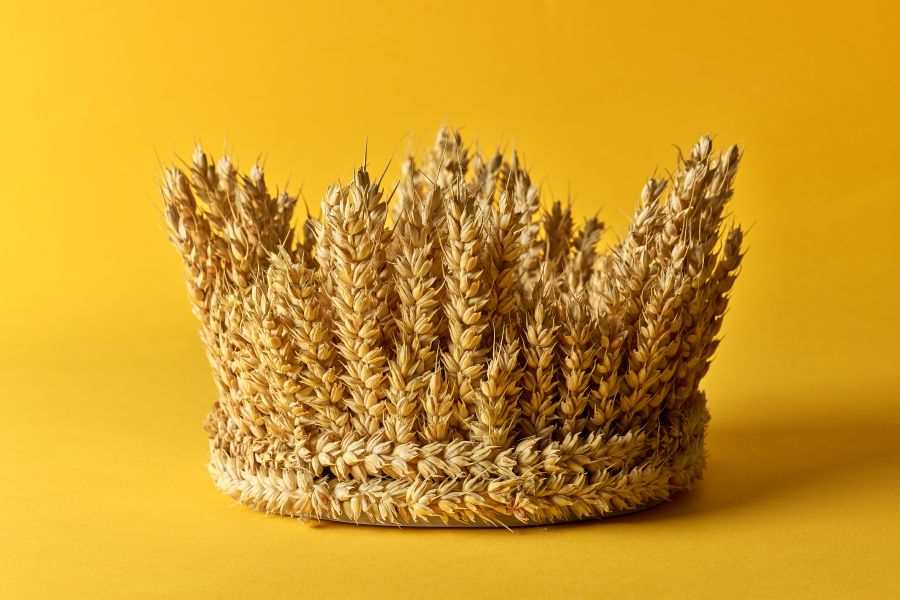 Krone aus Getreideähren vor gelbem Hintergrund